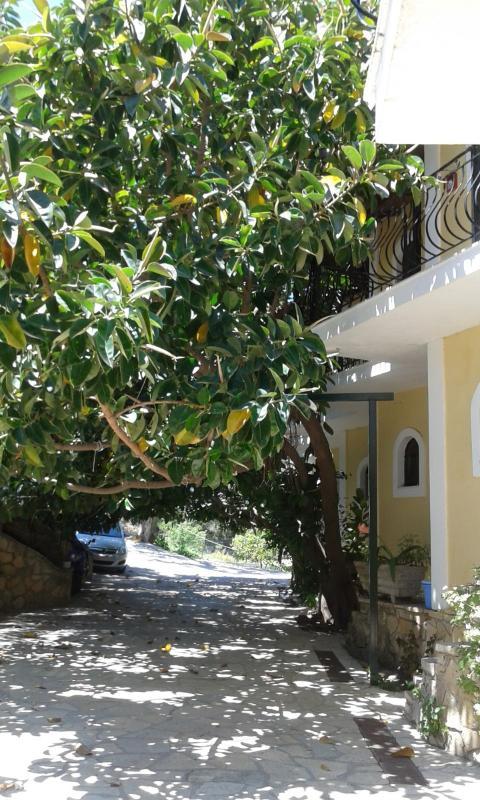 Timotheos Aparthotel 2*